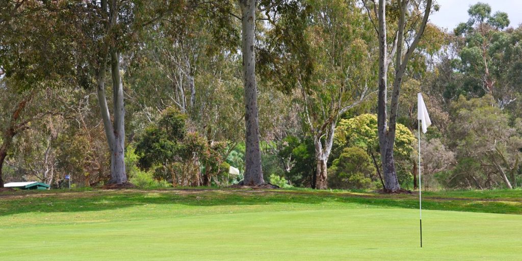 Electrical infrastructure upgrade Malvern valley golf course - Teoma Group Commercial electrical contractors Melbourne